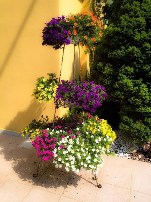 Bed & Breakfast Le Pinette 3*