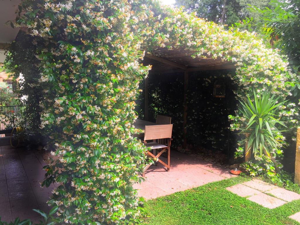 Le Pinette Bed & Breakfast 3*